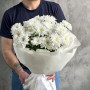 5 белых кустовых хризантем фото 2
